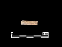 藏品(骨器)的圖片