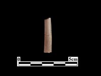 藏品(骨器)的圖片