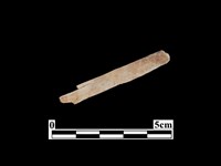 藏品(骨器)的圖片