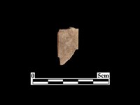 藏品(骨器)的圖片