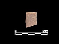 藏品(骨器)的圖片