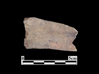 藏品(骨器)的圖片