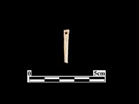 藏品(骨針)的圖片