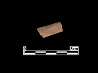 藏品(骨器)的圖片