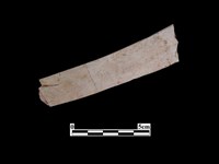 藏品(骨器)的圖片