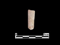 藏品(骨器)的圖片