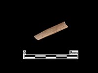 藏品(骨器)的圖片