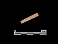 藏品(骨器)的圖片