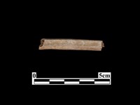 藏品(骨器)的圖片