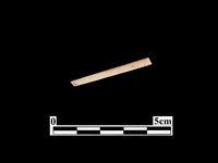 藏品(骨針)的圖片