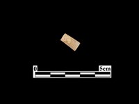 藏品(骨器)的圖片