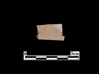 藏品(骨器)的圖片