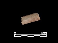 藏品(骨器)的圖片