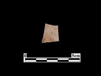 藏品(骨器)的圖片