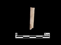 藏品(骨器)的圖片