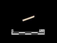 藏品(骨器)的圖片