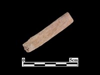 藏品(骨器)的圖片