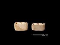 藏品(骨飾)的圖片