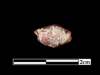 藏品(玻璃珠)的圖片