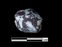 藏品(玻璃珠)的圖片