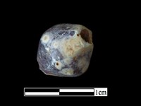 藏品(玻璃珠)的圖片