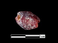 藏品(玻璃珠)的圖片