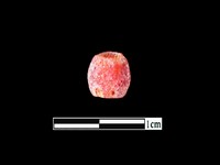 藏品(玻璃珠)的圖片