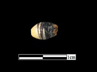 藏品(玻璃珠)的圖片