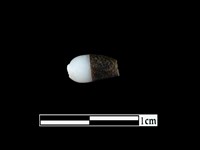 藏品(玻璃珠)的圖片