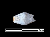 藏品(玻璃珠)的圖片