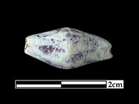 藏品(玻璃珠)的圖片