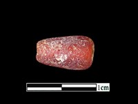 藏品(玻璃珠)的圖片