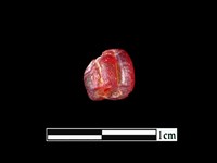 藏品(玻璃珠)的圖片