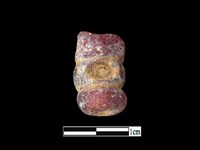 藏品(玻璃珠)的圖片