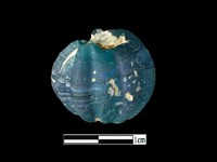 藏品(玻璃珠)的圖片