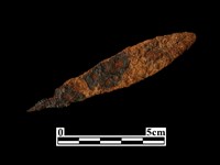 藏品(箭頭)的圖片