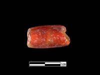 藏品(瑪瑙珠)的圖片