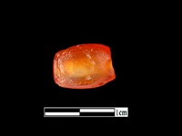 藏品(玉髓珠)的圖片