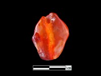 藏品(瑪瑙珠)的圖片