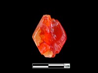 藏品(瑪瑙珠)的圖片