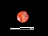 藏品(玉髓珠)的圖片