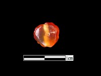 藏品(玉髓珠)的圖片