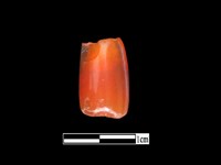 藏品(玉髓珠)的圖片