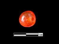 藏品(玉髓珠)的圖片