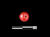 藏品(玉髓珠)的圖片