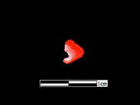 藏品(玉髓珠)的圖片