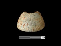 藏品(陶紡輪)的圖片