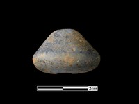 藏品(陶紡輪)的圖片