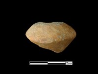 藏品(陶紡輪)的圖片