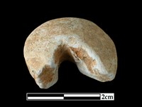 藏品(陶紡輪)的圖片